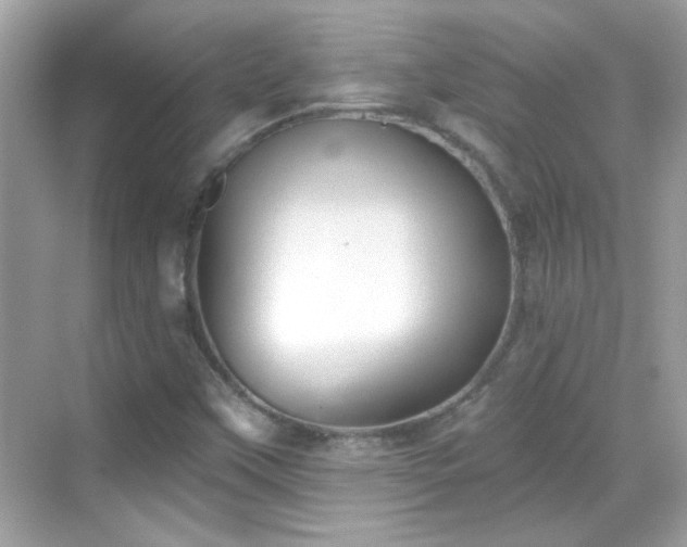X0000069361451200605121104