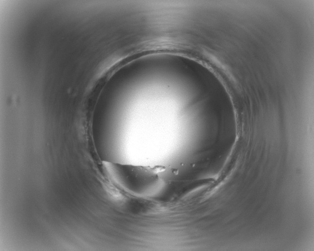 X0000069361453200605121104