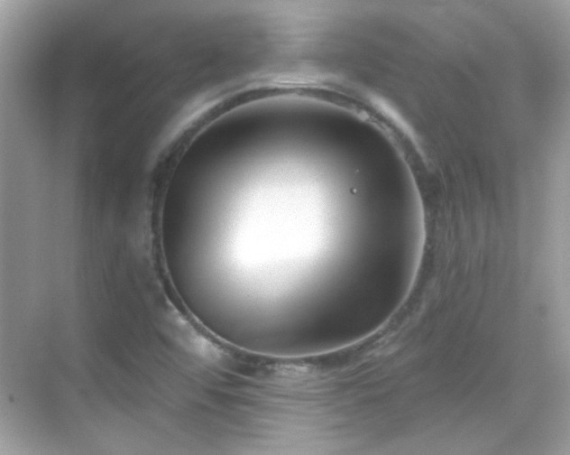 X0000069361456200605121104