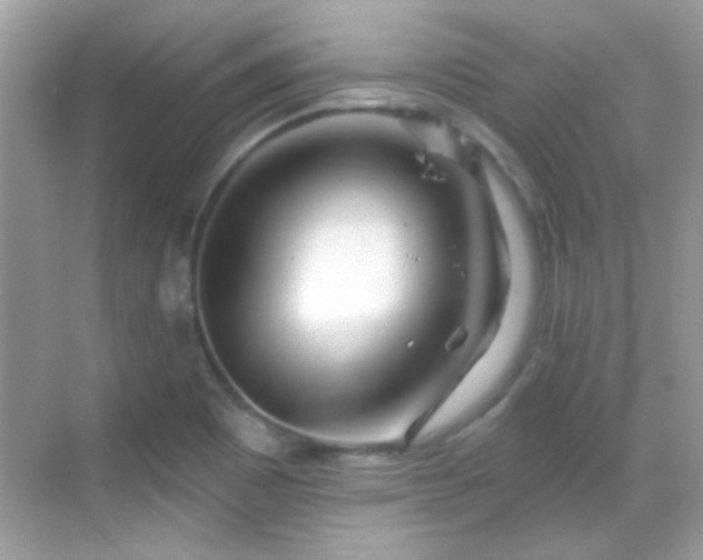 X0000069361465200605121104