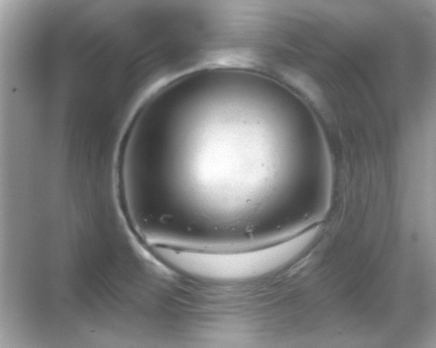 X0000069361471200605121104