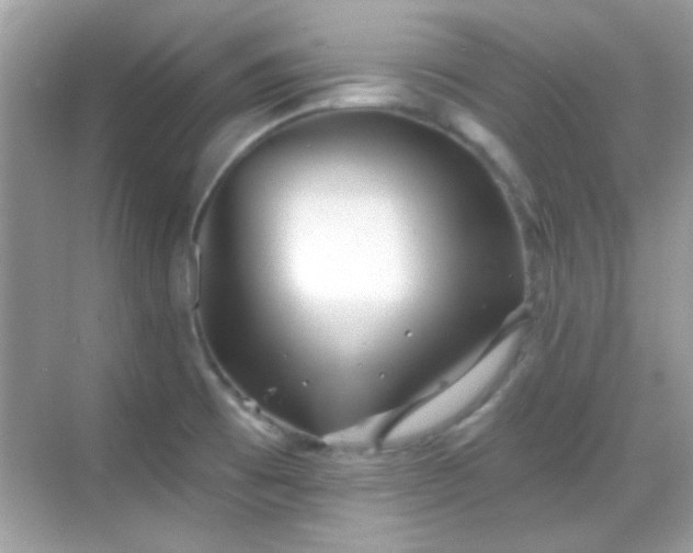 X0000069361473200605121104
