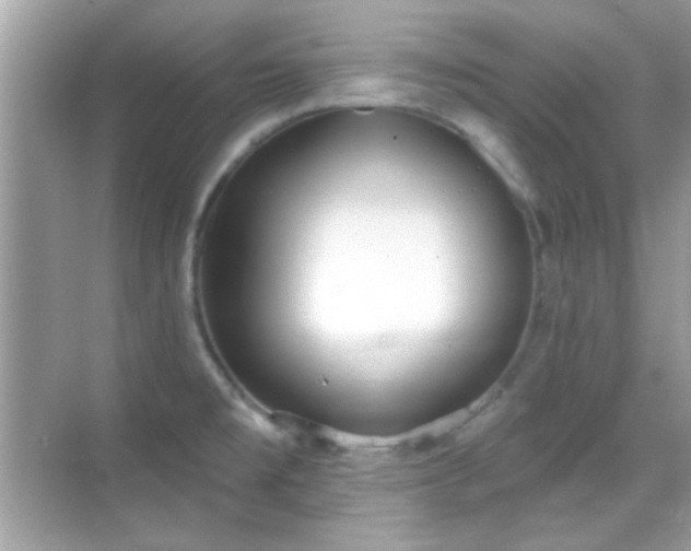 X0000069361477200605121104