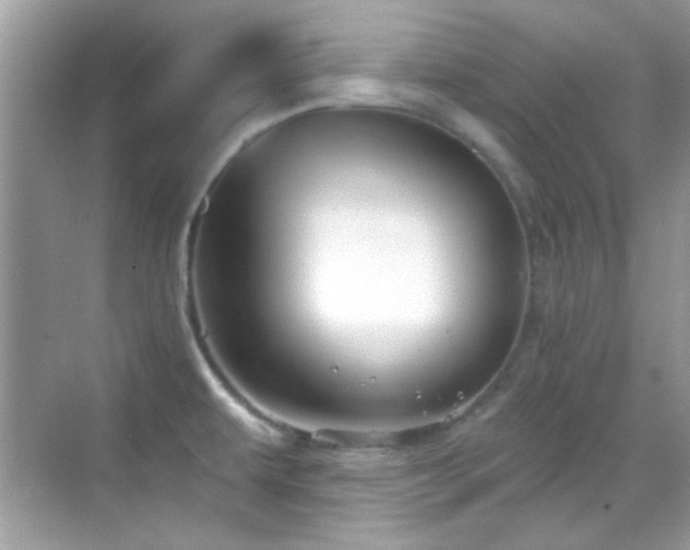 X0000069361479200605121104