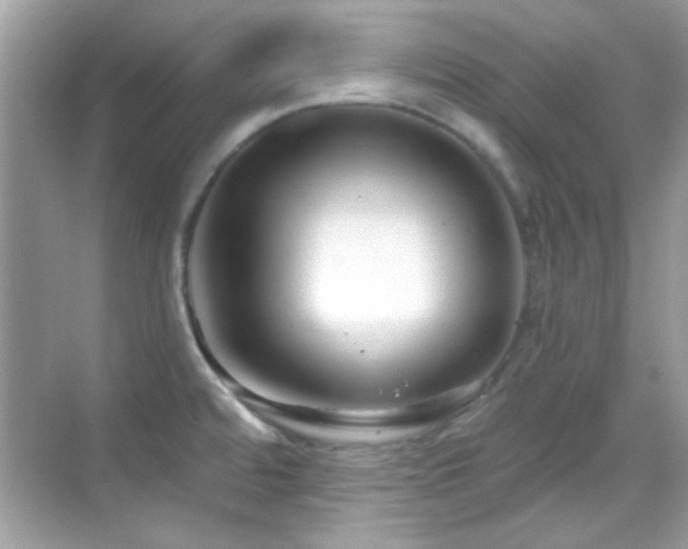 X0000069361480200605121104
