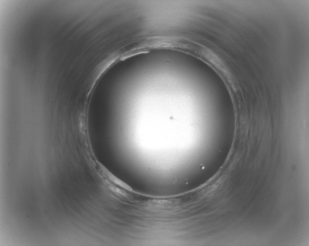 X0000069361481200605121104