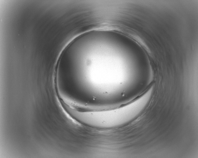 X0000069361484200605121103