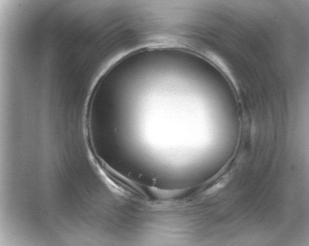 X0000069361485200605121103