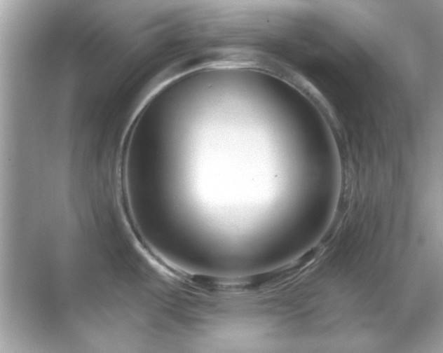 X0000069361487200605121103