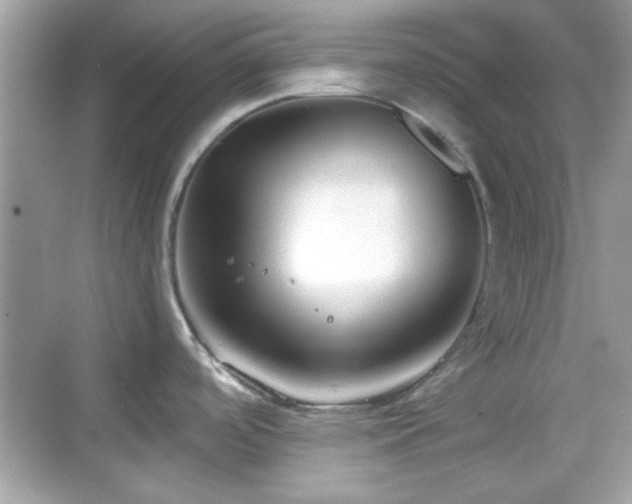 X0000069361488200605121103