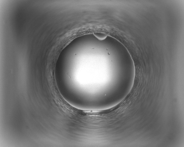 X0000069361489200605121103