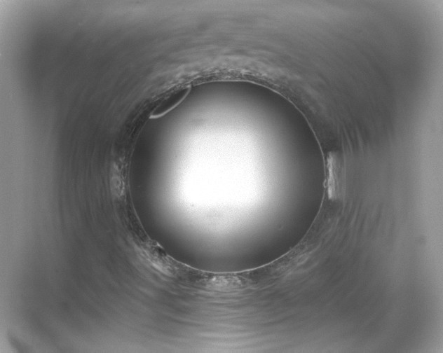 X0000069361491200605121103