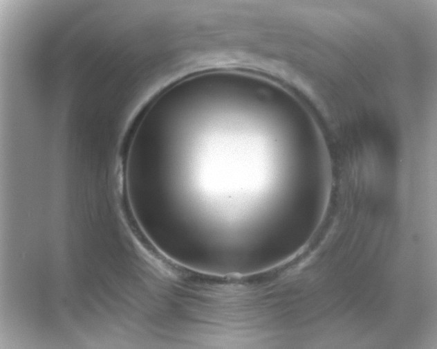 X0000069361509200605121103