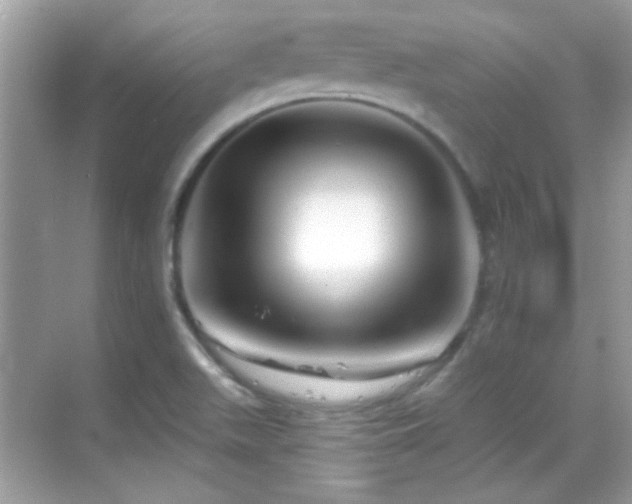 X0000069361511200605121103