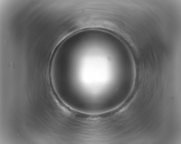 X0000069361513200605121103