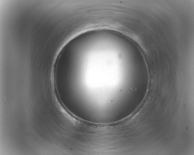 X0000069361516200605121103