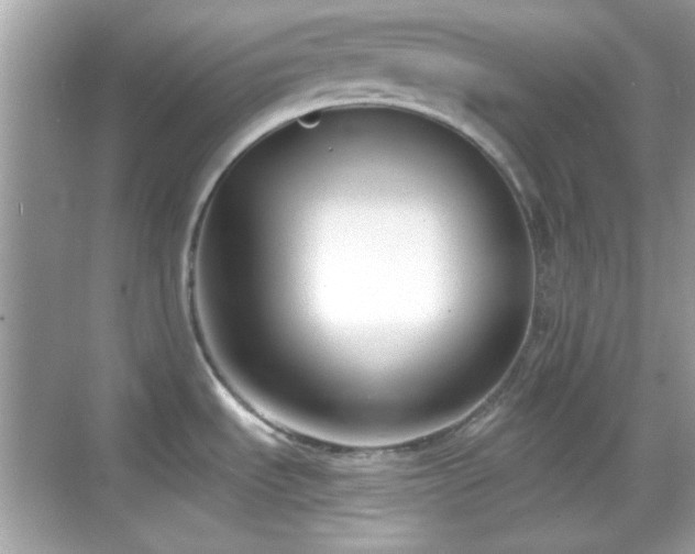 X0000069361535200605121103