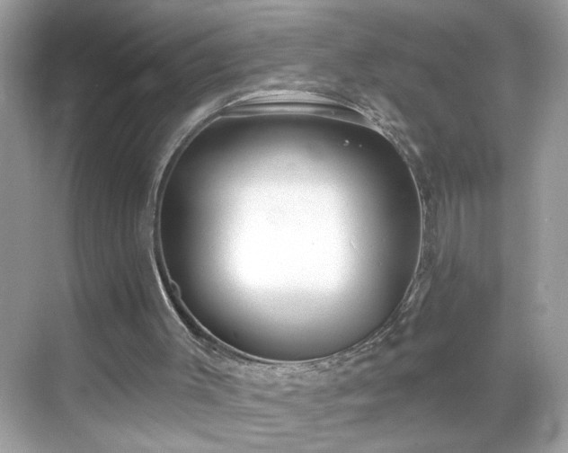 X0000069360003200605150928