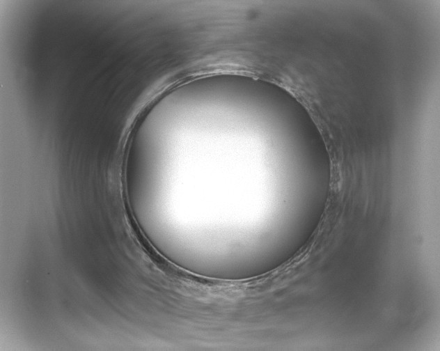 X0000069360004200605150928