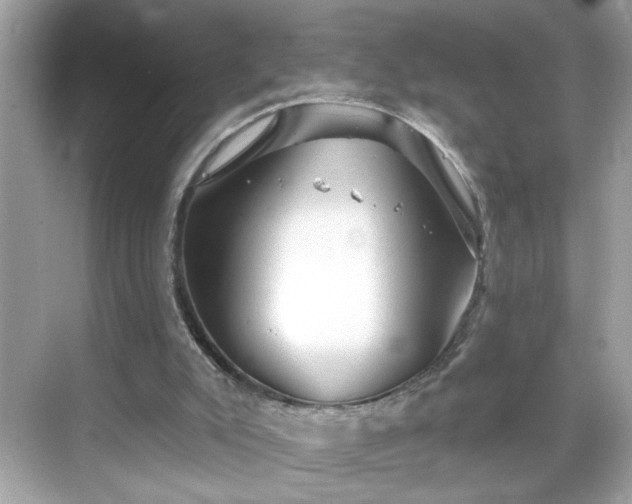 X0000069360007200605150928