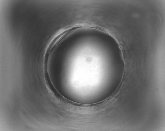 X0000069360008200605150928