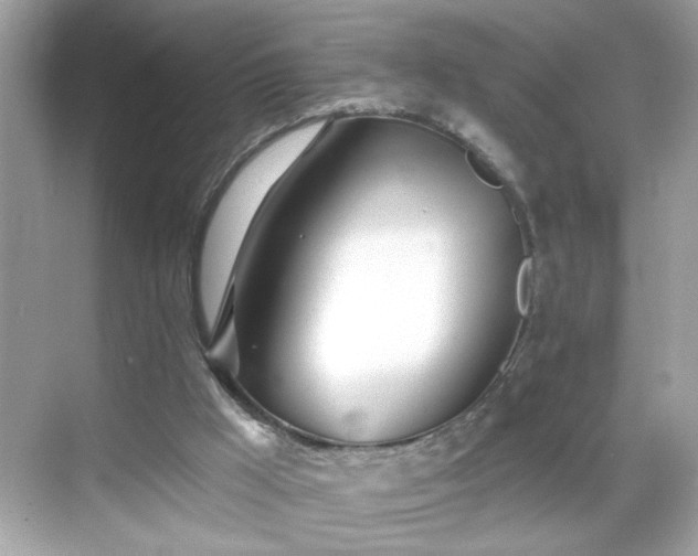 X0000069360009200605150928