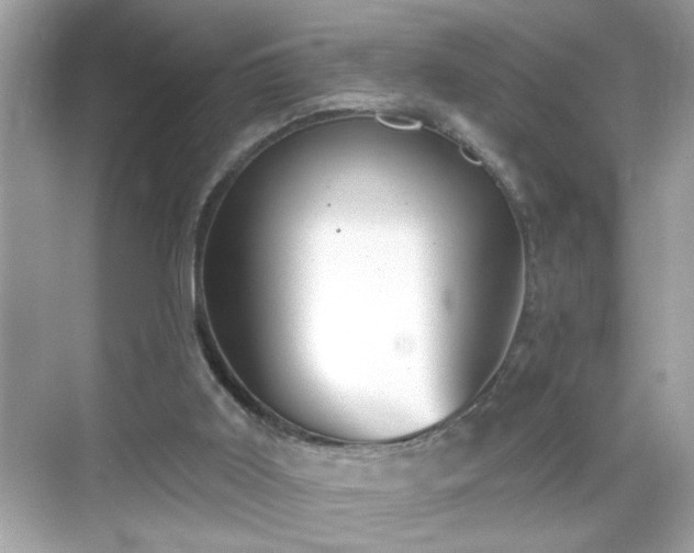 X0000069360011200605150928