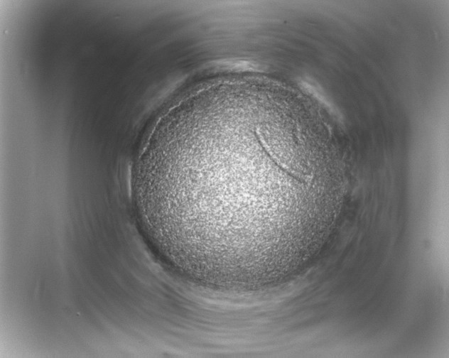 X0000069360014200605150928