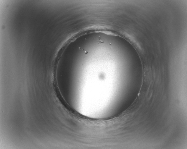 X0000069360015200605150928