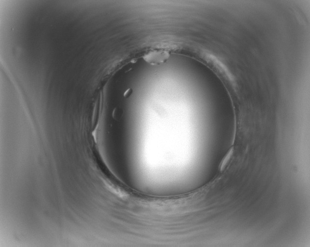 X0000069360017200605150928