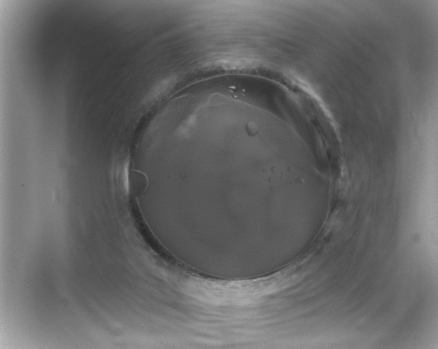 X0000069360019200605150928