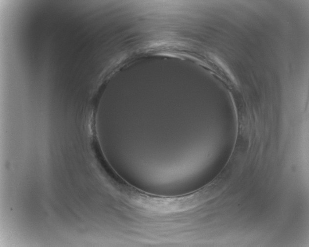 X0000069360023200605150928