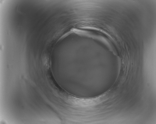 X0000069360031200605150928