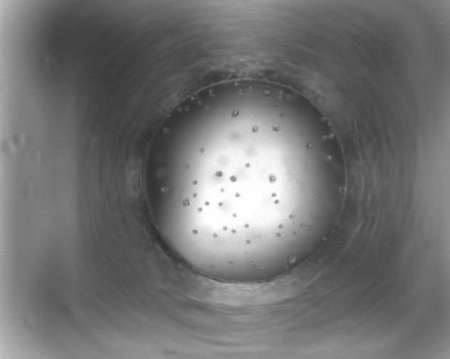 X0000069360034200605150928