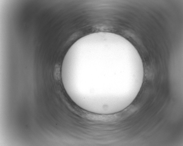 X0000069360036200605150928