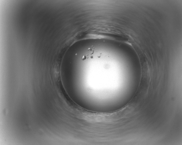 X0000069360040200605150928