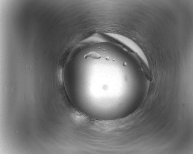 X0000069360041200605150928