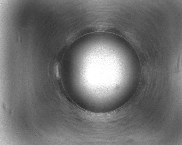 X0000069360042200605150928