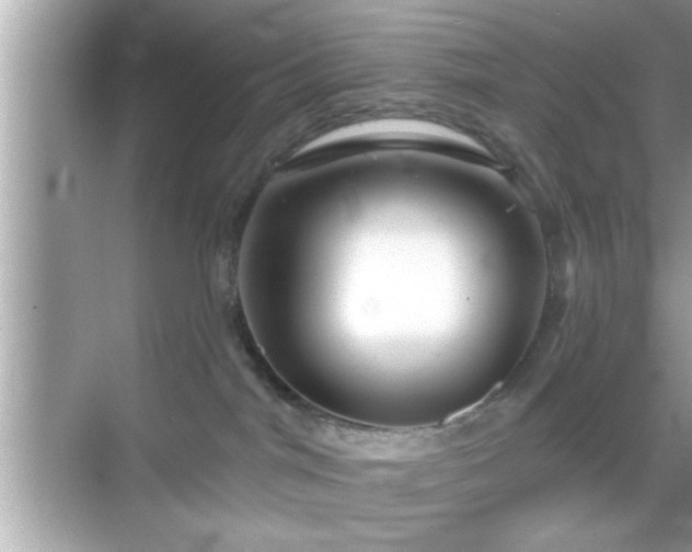 X0000069360044200605150928