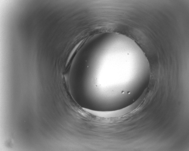 X0000069360045200605150928