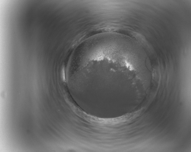 X0000069360046200605150928