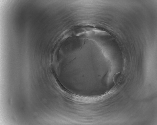 X0000069360048200605150928