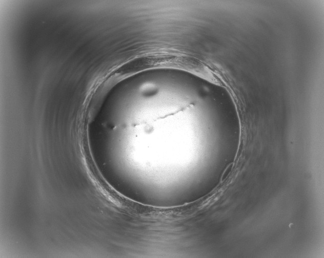 X0000069360049200605150927