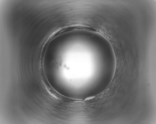 X0000069360050200605150927