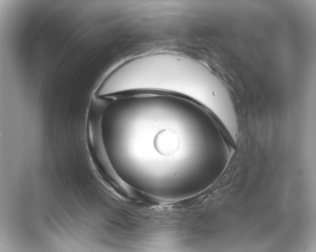 X0000069360052200605150927