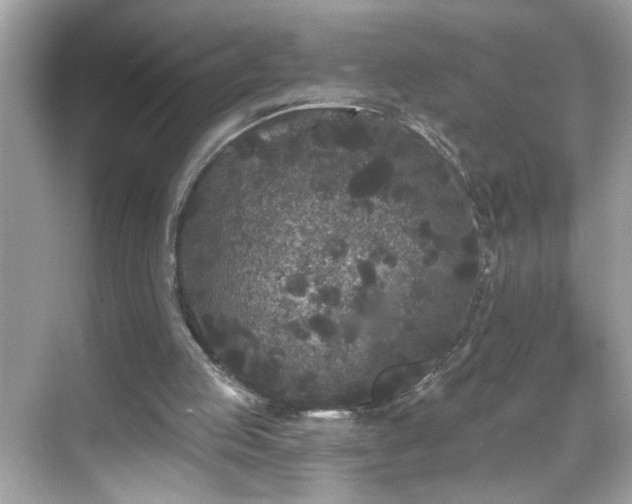 X0000069360053200605150927