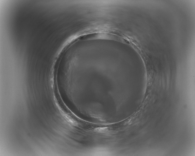 X0000069360054200605150927