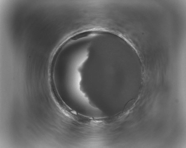 X0000069360055200605150927