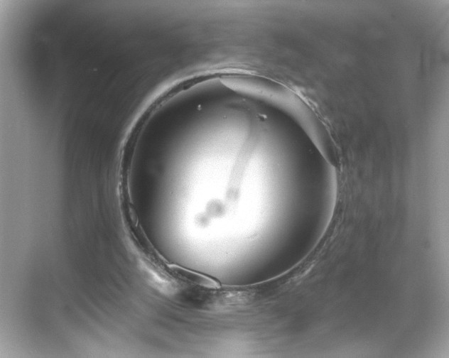 X0000069360056200605150927