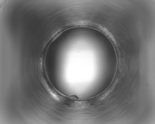 X0000069360057200605150927